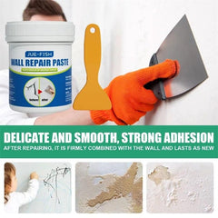 Wall Repair Paste 100 gm